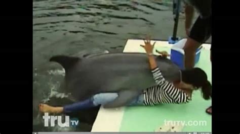 dolphin humping girl|Hapless tourist gets humped by frisky dolphin